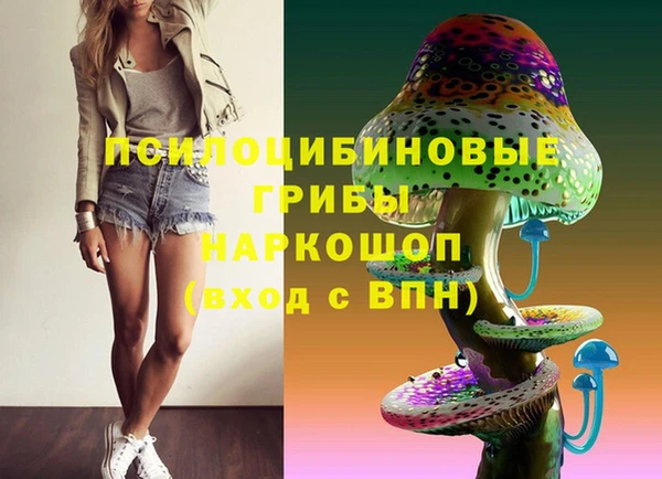 крисы Алексеевка